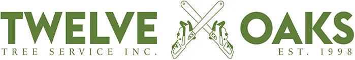 Arborist - Tree Removal Services Toronto Ontario Canada